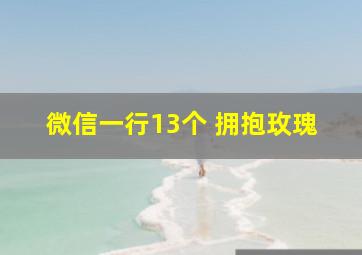 微信一行13个 拥抱玫瑰